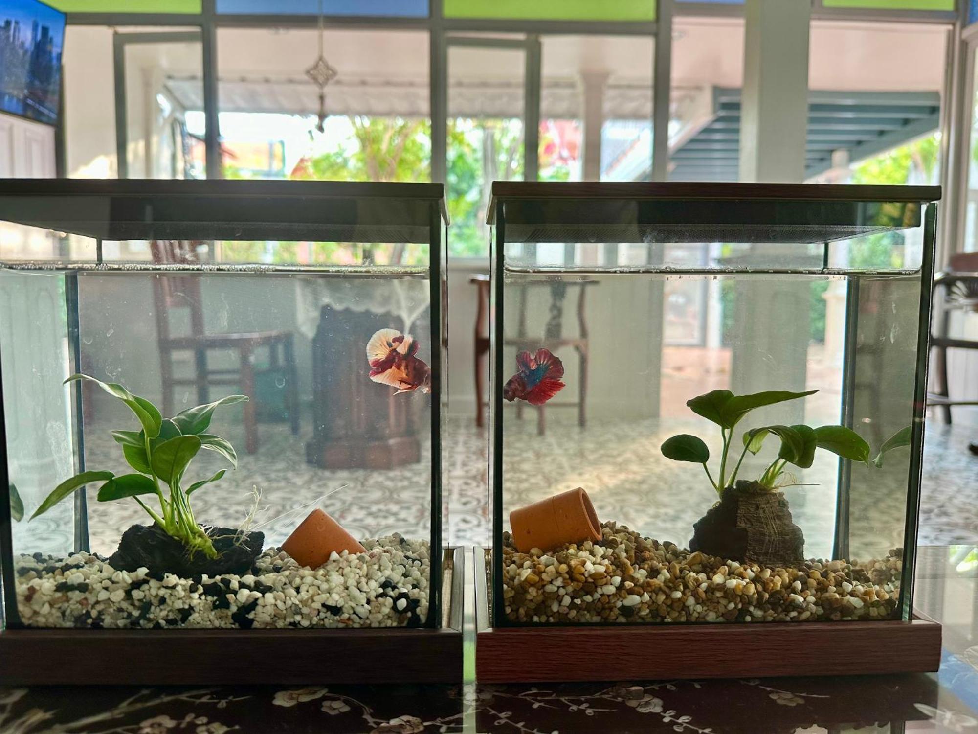 Baan Debtida Hotel Bangkok Luaran gambar