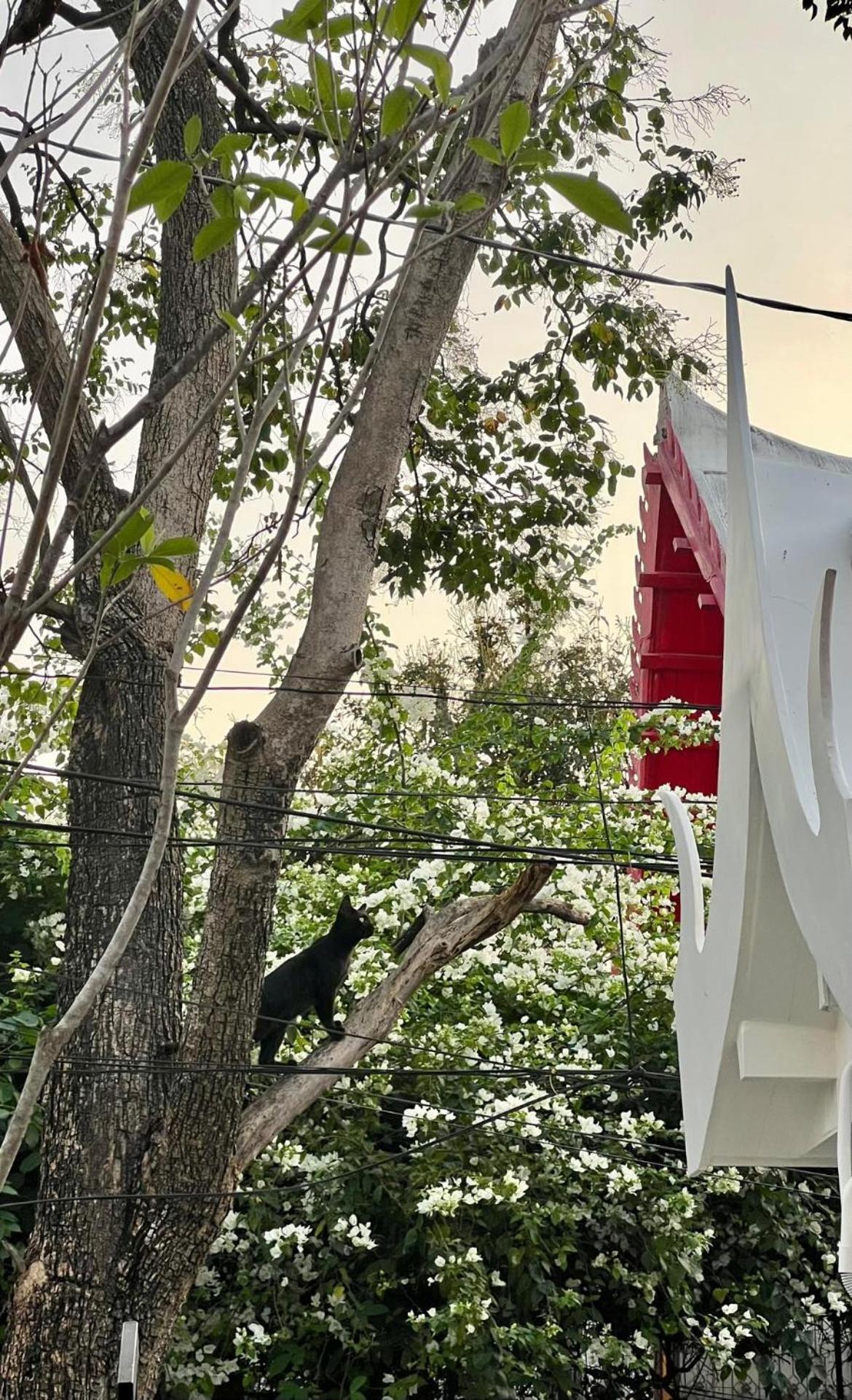 Baan Debtida Hotel Bangkok Luaran gambar