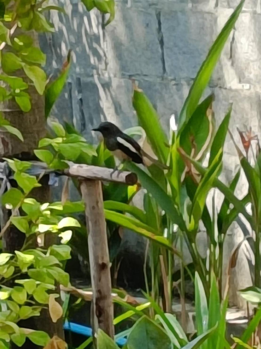 Baan Debtida Hotel Bangkok Luaran gambar