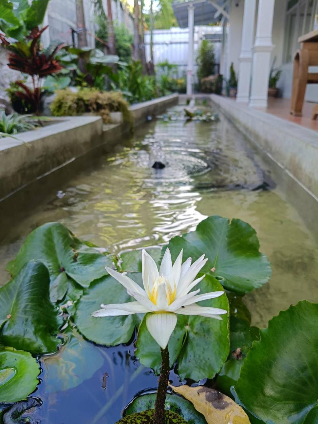 Baan Debtida Hotel Bangkok Luaran gambar