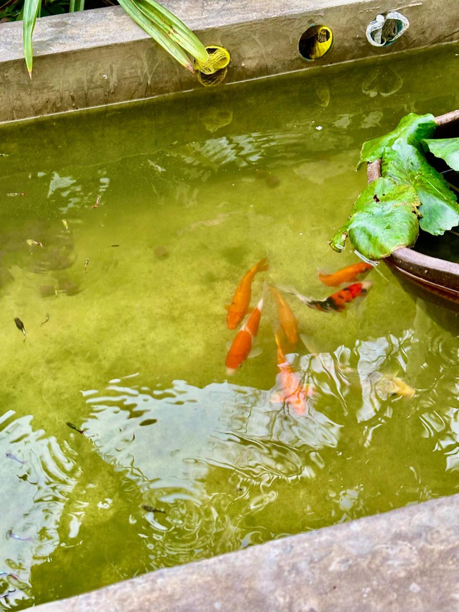 Baan Debtida Hotel Bangkok Luaran gambar